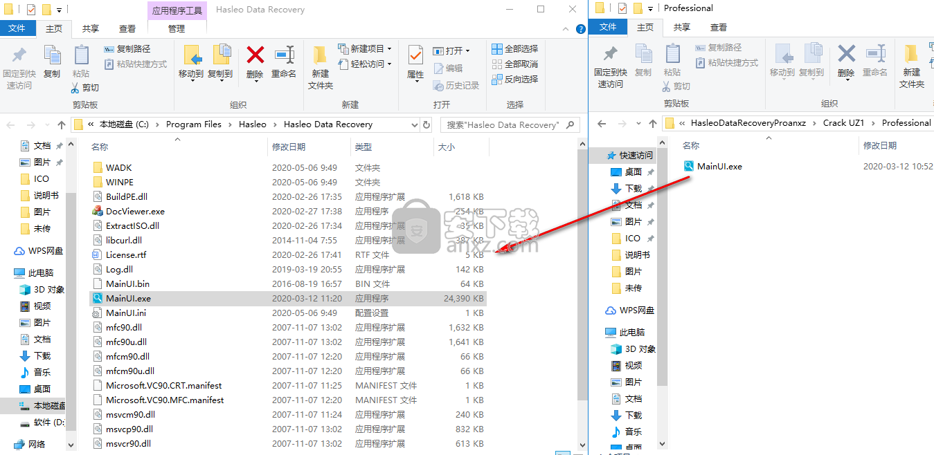 Hasleo Data Recovery Professional(数据恢复软件)