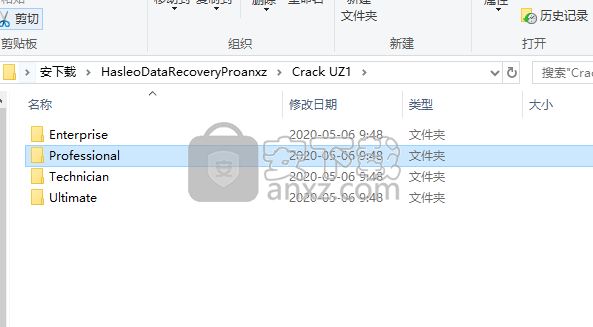 Hasleo Data Recovery Professional(数据恢复软件)