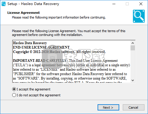 Hasleo Data Recovery Professional(数据恢复软件)