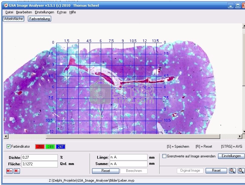 GSA Image Analyser(图像分析仪)