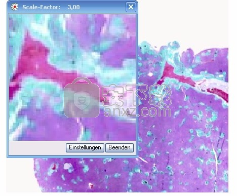 GSA Image Analyser(图像分析仪)