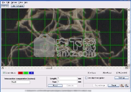 GSA Image Analyser(图像分析仪)