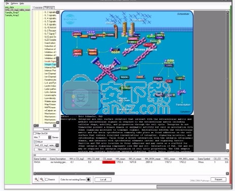 Advanced Pathway Painter(基因/蛋白质实验分析工具)