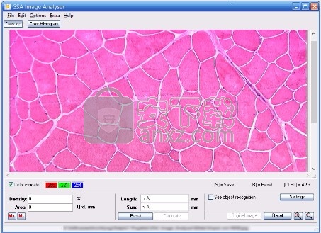 GSA Image Analyser(图像分析仪)