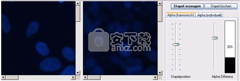 GSA Image Analyser Batch Edition(图像分析工具)