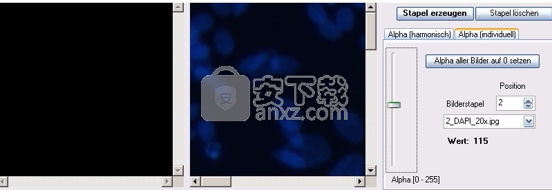 GSA Image Analyser Batch Edition(图像分析工具)