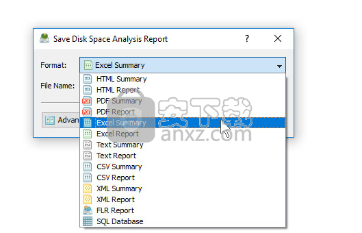 disk savvy pro(磁盘空间分析软件)