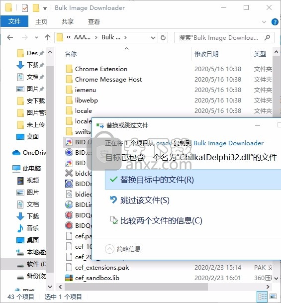 Bulk Image Downloader(批量图片下载工具)