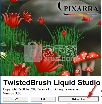 Pixarra TwistedBrush Liquid Studio(专业画笔软件) 