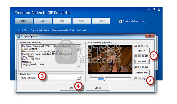 Freemore Video to GIF Converter(视频转GIF转换器)