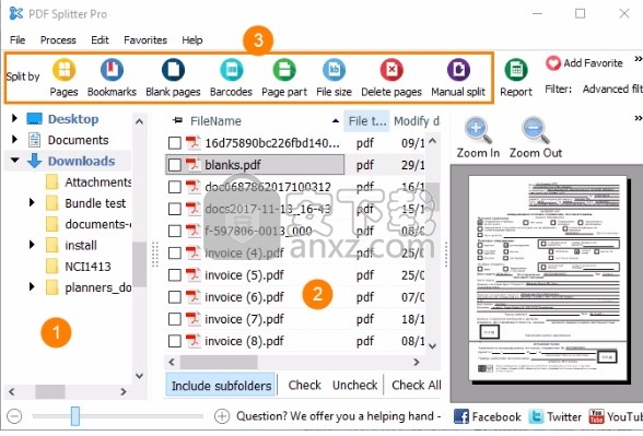 Pdf Splitter Pro(多功能PDF拆分工具)