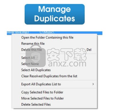 Easy Duplicate Cleaner(重复文件查找软件)