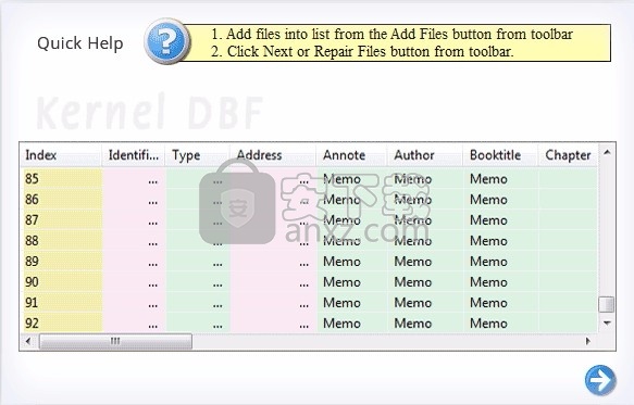 DBF Database Repair(DBF数据库修复软件)