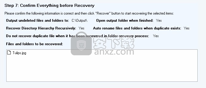 DataNumen NTFS Undelete(文件恢复工具)
