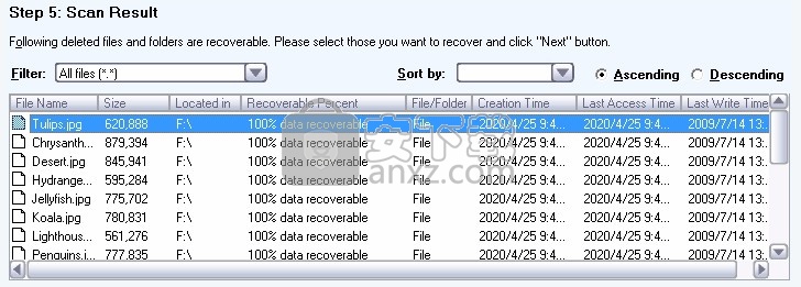 DataNumen NTFS Undelete(文件恢复工具)