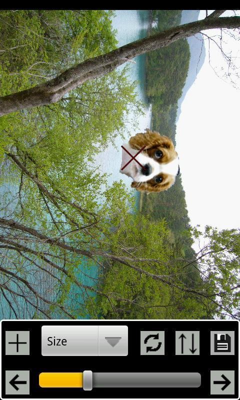 EZ复合