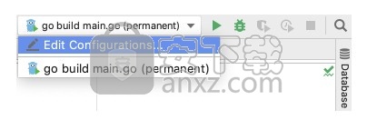 jetbrains goland 2020.1中文