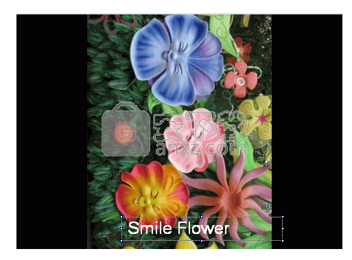 Sothink Photo Album Maker(电子相册制作工具)