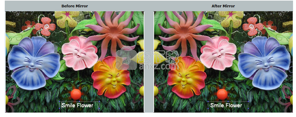 Sothink Photo Album Maker(电子相册制作工具)