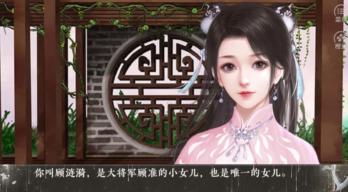 替嫁之王后秘史