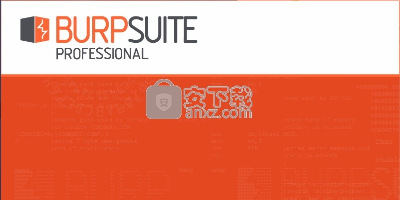 Burp Suite 2020补丁