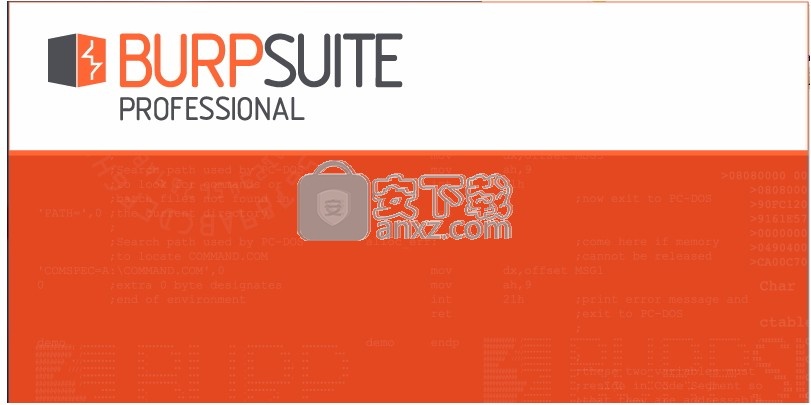 Burp Suite Pro 2020(渗透测试工具)