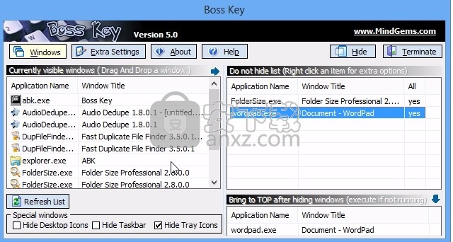 Boss Key(桌面窗口与文件隐藏工具)