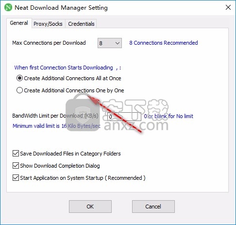 Neat Download Manager(ndm下载器)