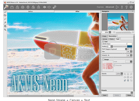 AKVIS Neon(霓虹灯效果制作软件)
