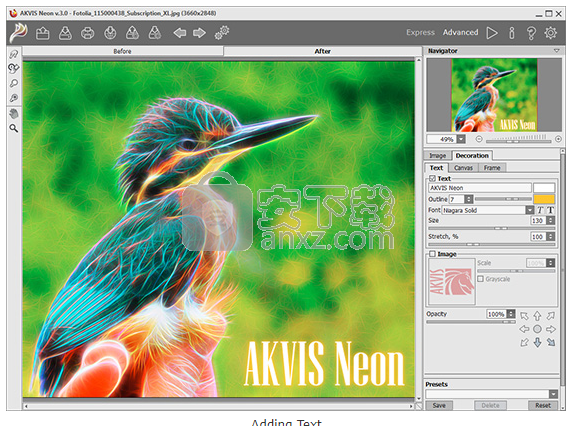 AKVIS Neon(霓虹灯效果制作软件)