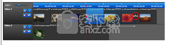 easy video creator(视频制作软件)