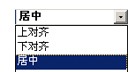 金蝶万能票据旗舰版