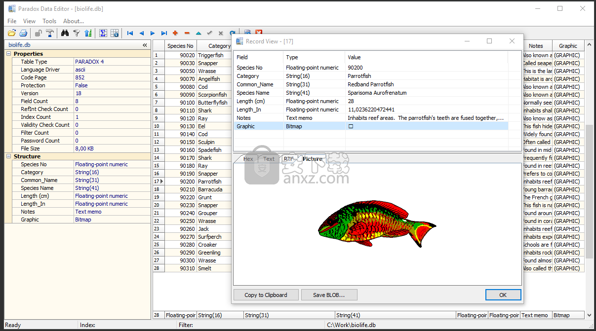 Paradox Data Editor(数据库编辑工具) 