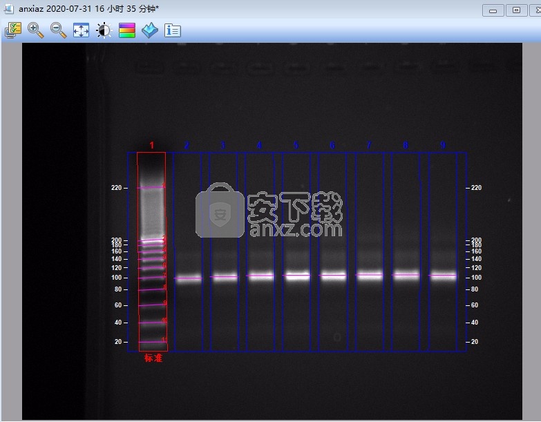 imagelab(凝胶成像系统软件)