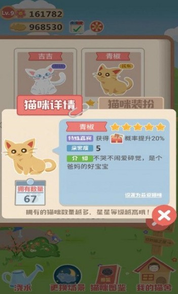 奇妙猫之家