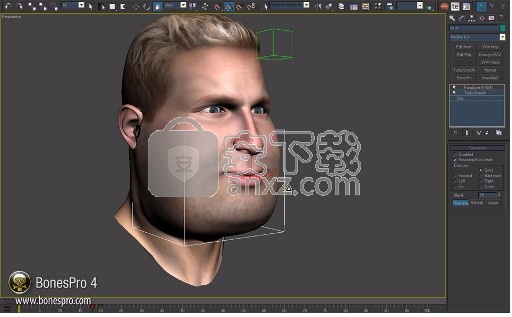 bones pro(3d max骨骼蒙皮插件)