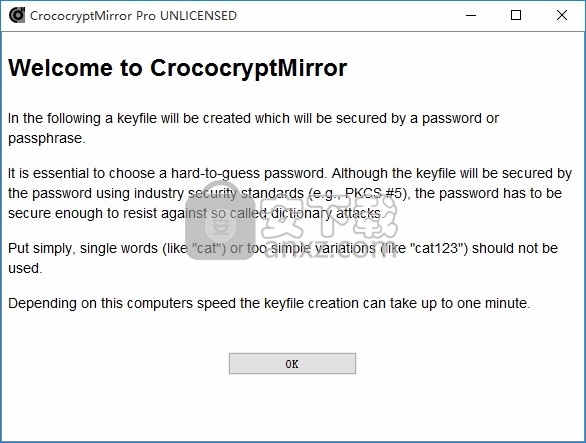 CrococryptMirror Pro(目录备份与镜像文件加密)