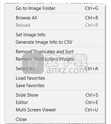 WildBit Viewer(图片浏览软件)