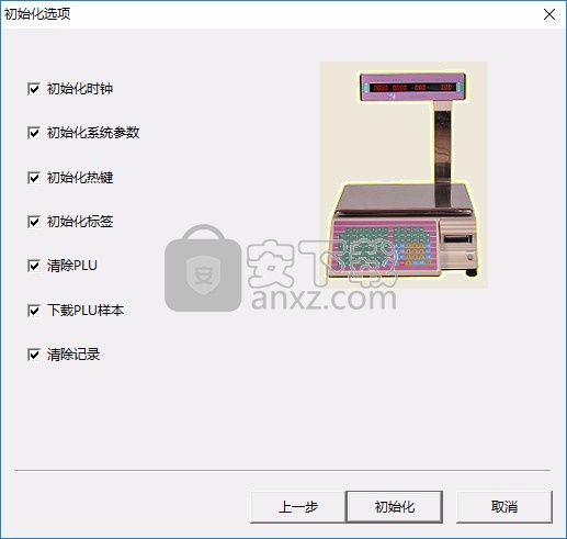 大华电子秤软件