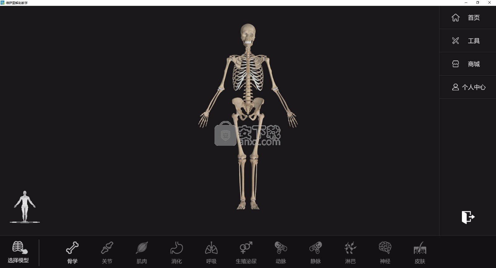 维萨里解剖3d教学个人版