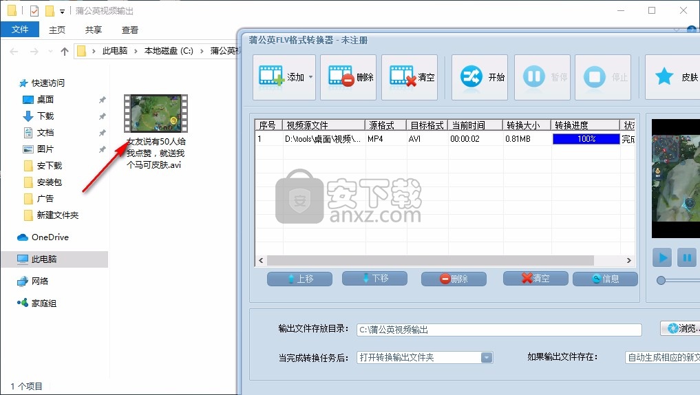 蒲公英FLV格式转换器
