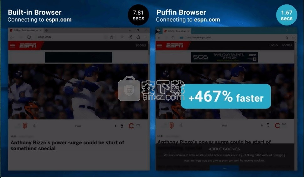 Puffin Browser(多功能浏览器)