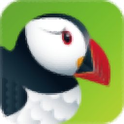 Puffin Browser(多功能浏览器)