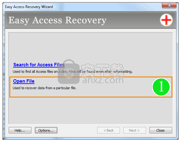 Easy Access Recovery(access数据库恢复软件)