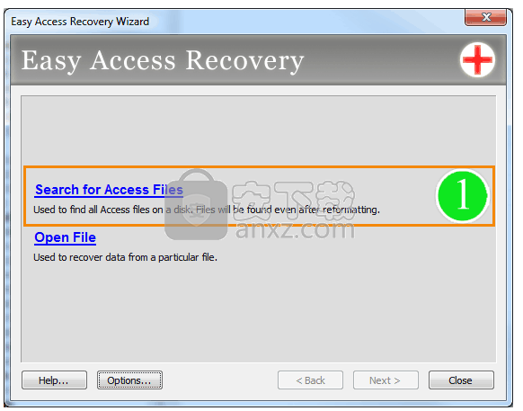 Easy Access Recovery(access数据库恢复软件)