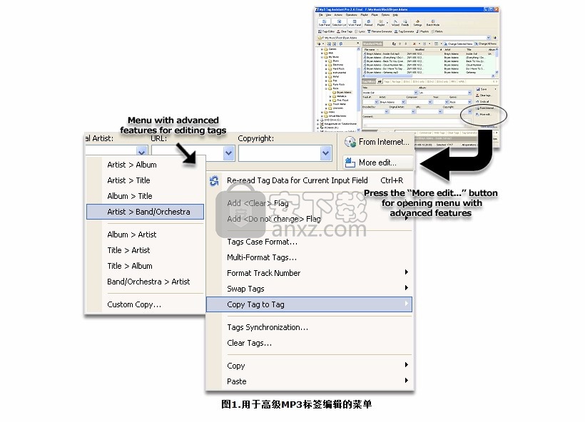 Mp3 Tag Assistant Pro(多功能音乐文件管理器)