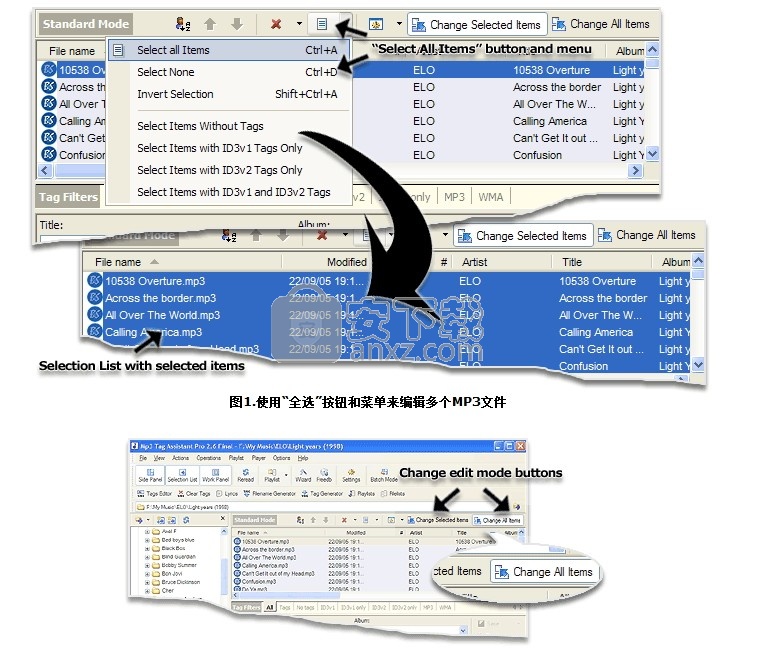 Music Tag Editor(多功能音乐标签编辑器)