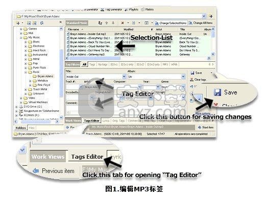 Music Tag Editor(多功能音乐标签编辑器)
