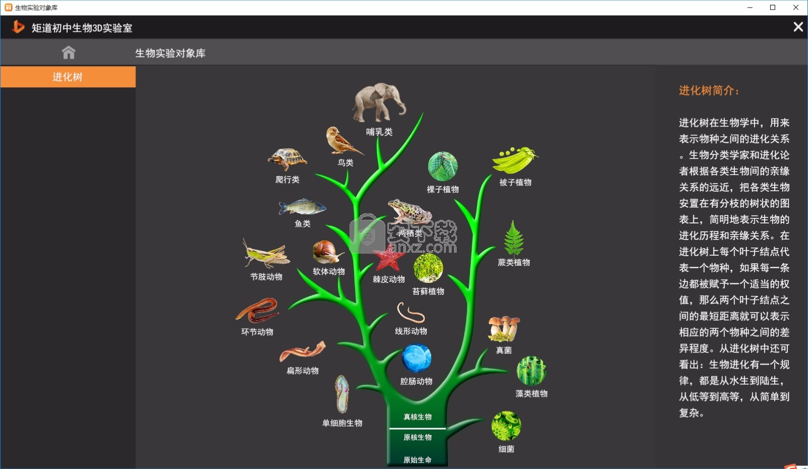 矩道初中生物VR3D虚拟仿真实验室