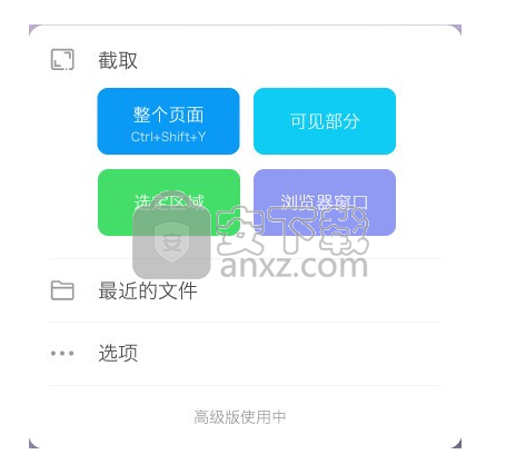 截图大师高级版 